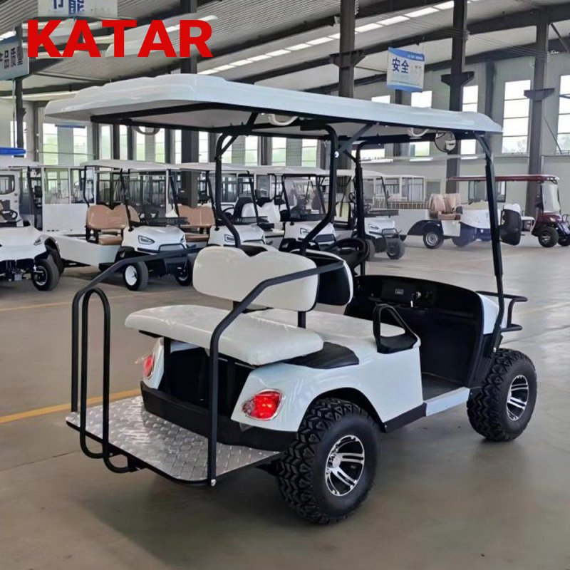 Resort Electric Golf Carts Passengers Classic Sightseeing Bus on Sale