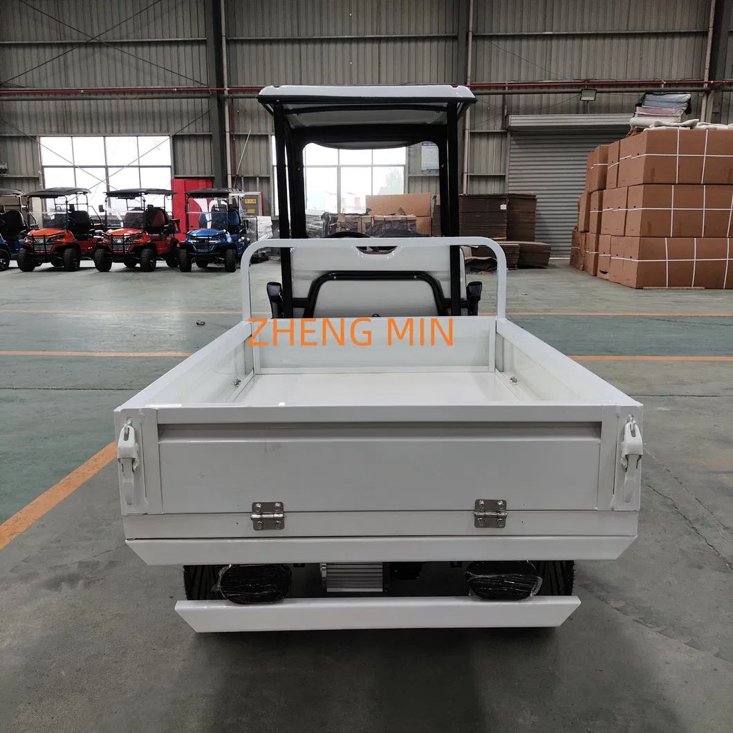 Electric Golf Cart View