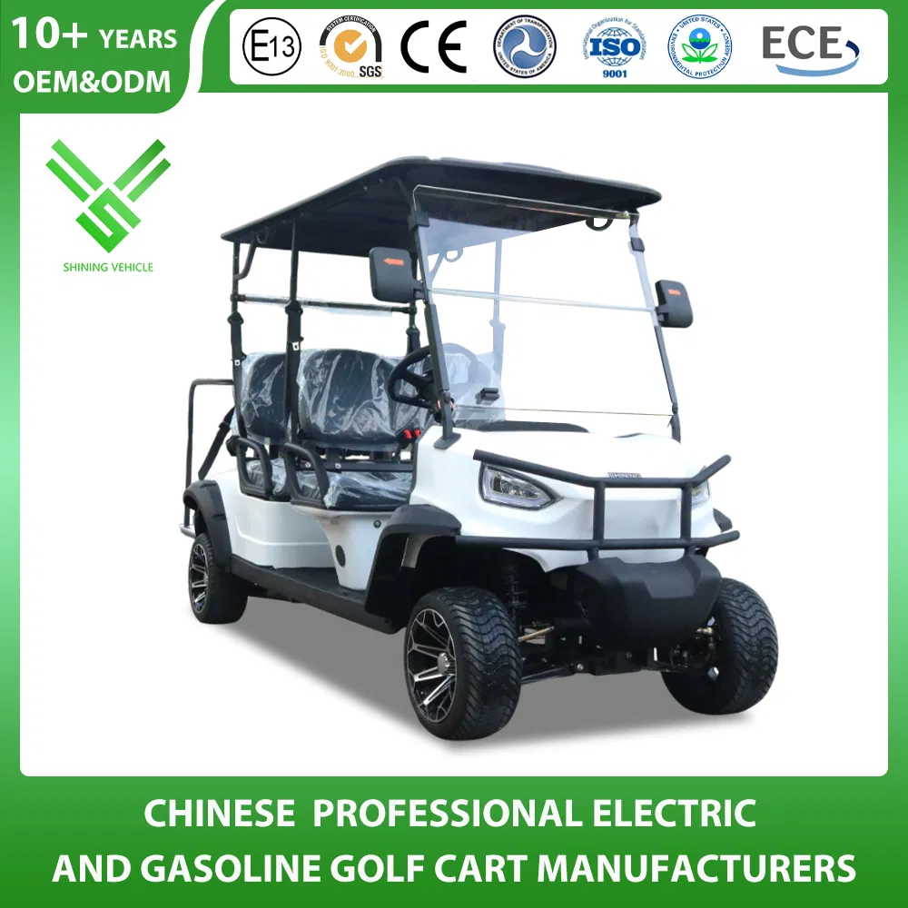 Shininglsv Brand Electric Luxury Lead Acid Battery 48V Legal Road Golf Cart
