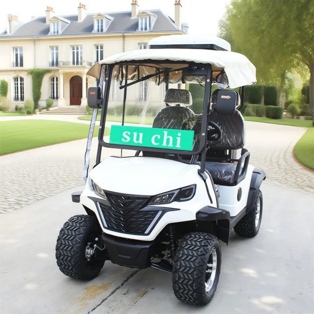 2 Seat Motorized Electric Utility Golf Cart with Long Cargo Box