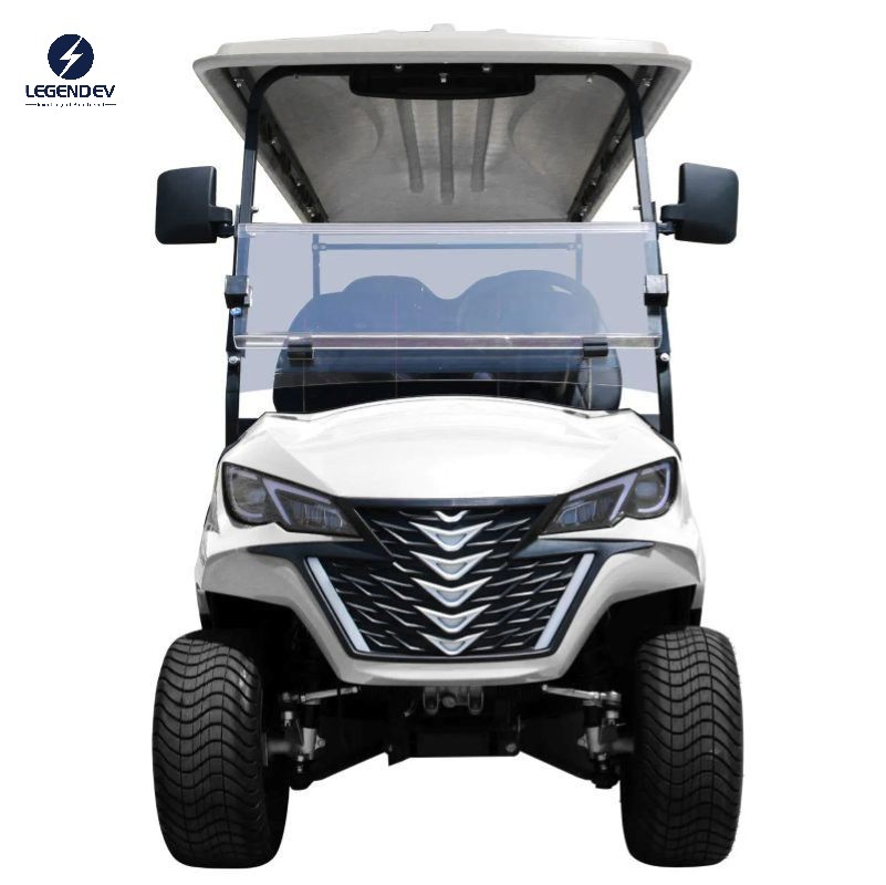 6+2 W/Rear Seat Folds Down 48V 5kw AC Motor Fast New Customize Electric Golf Cart Car