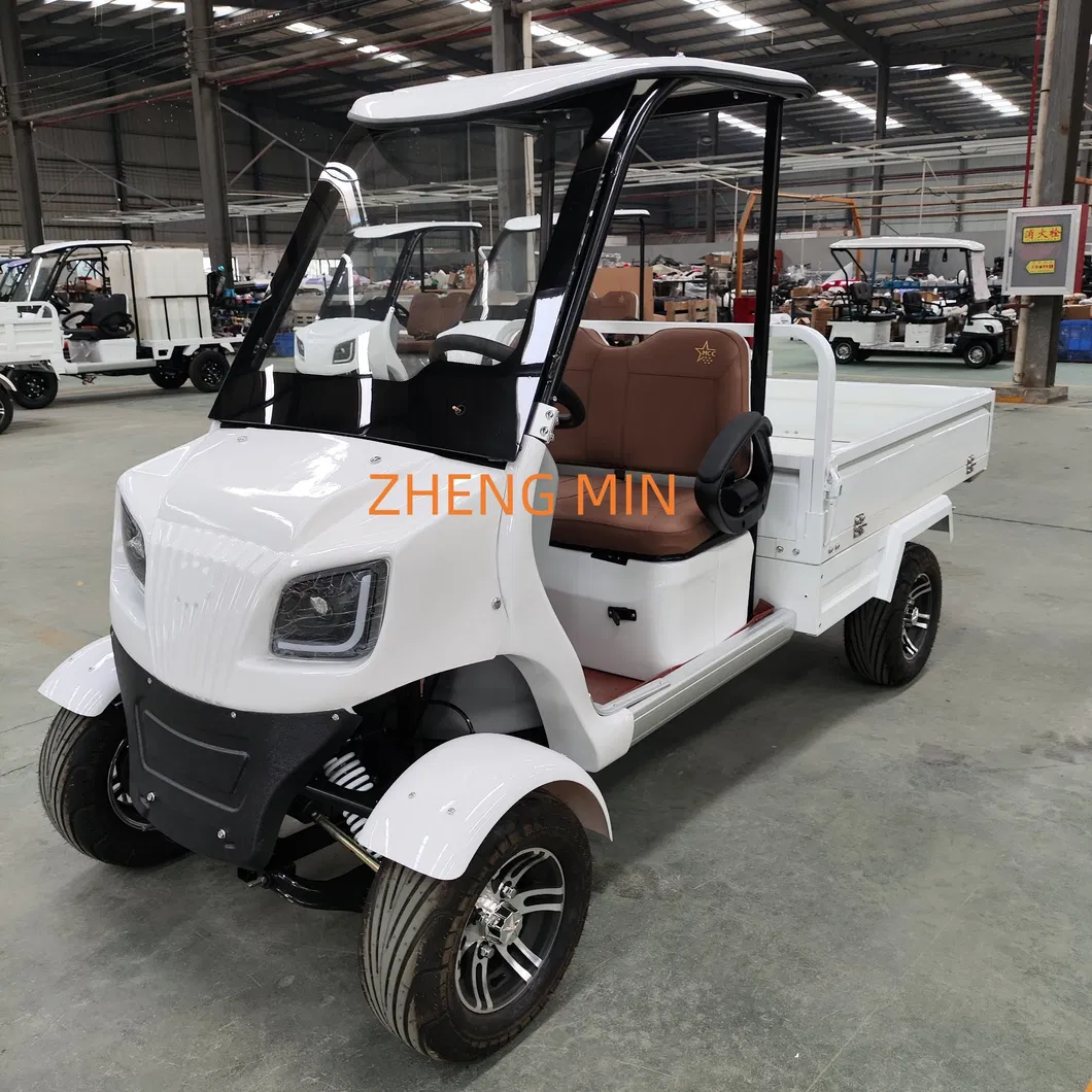 Electric Golf Cart Rear