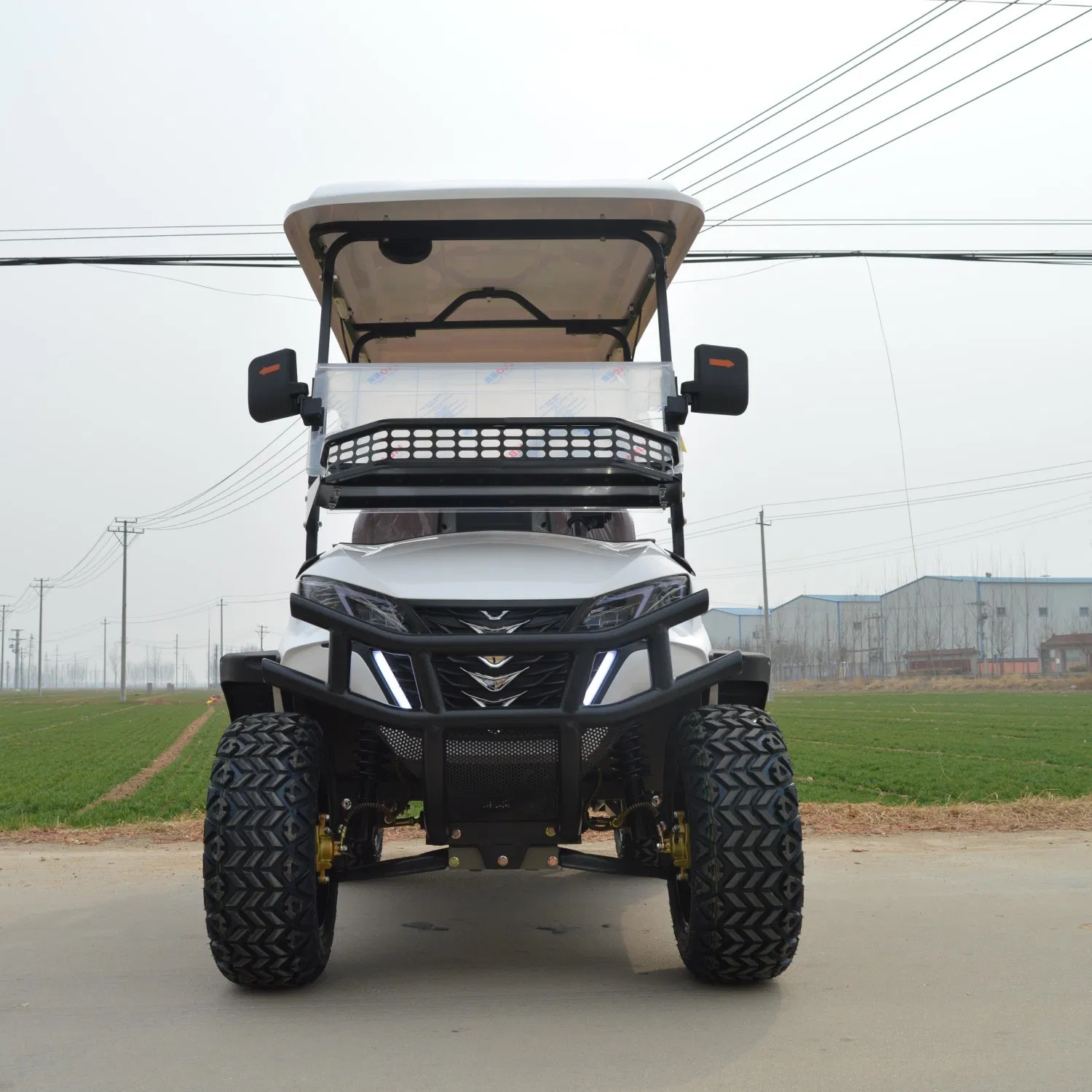 4 Seater New Golf Cart Electric Club Car with Cargo Box