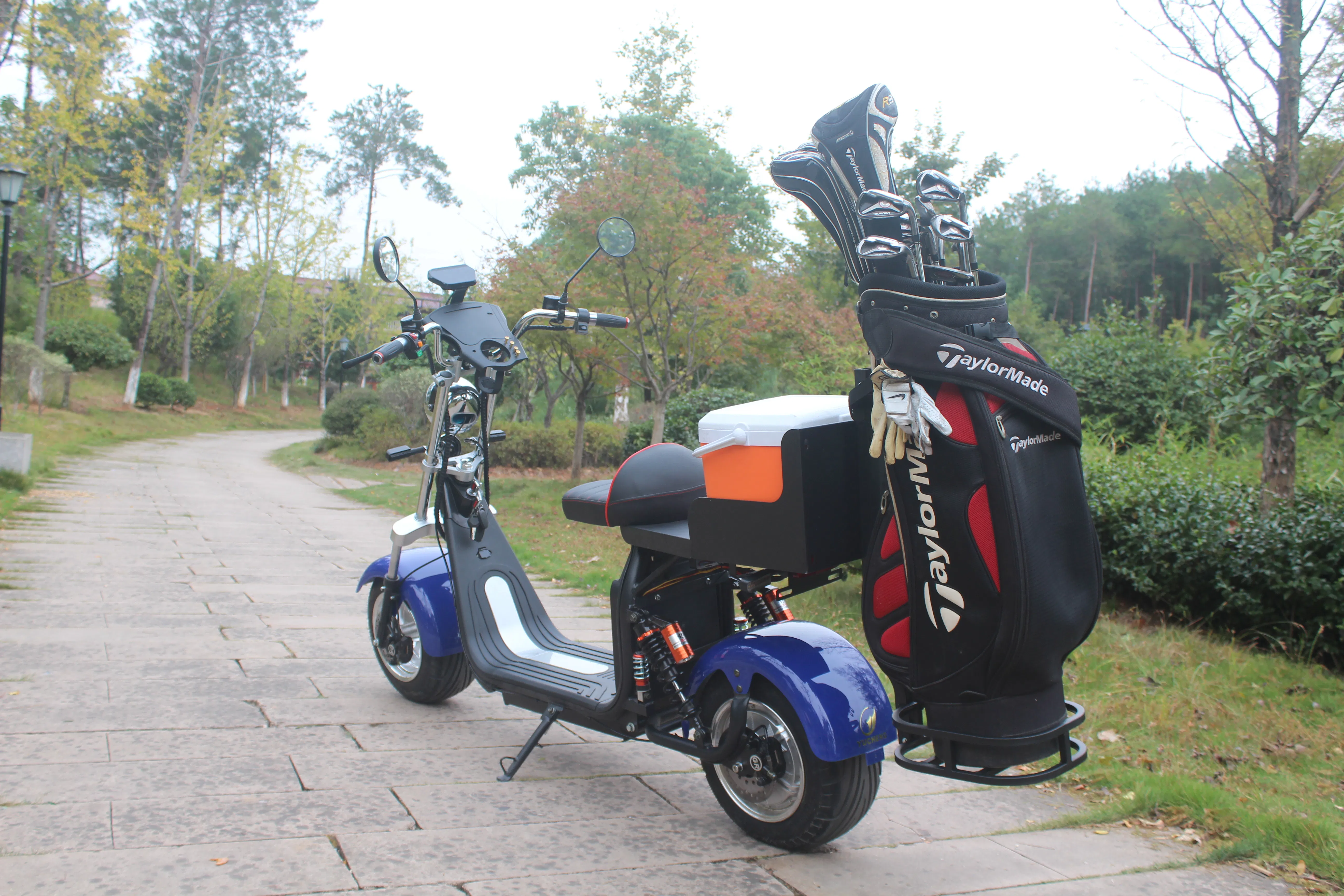 Folding Electric Golf Cart Front Rear Brake