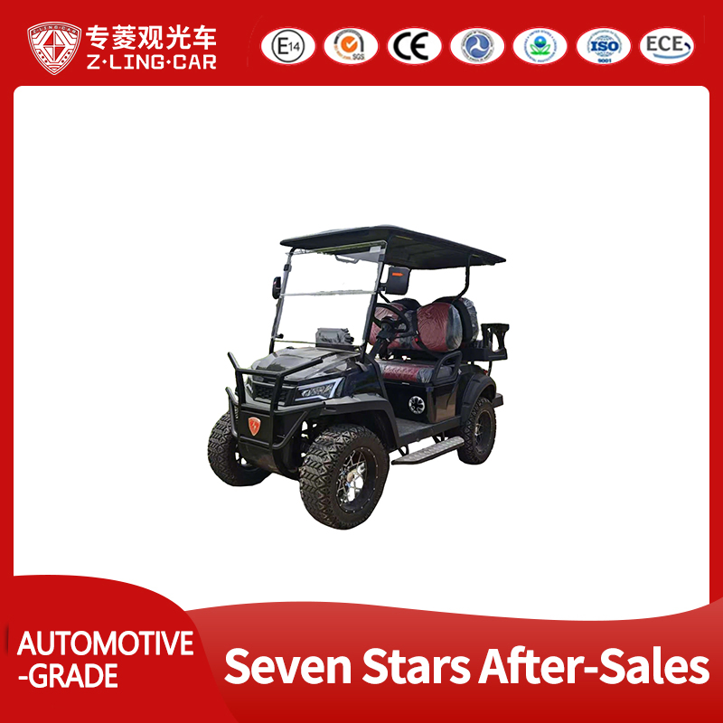 Chinese Price Manufacturer Custom Hunting 5 Seater Lithium Electric Street Legal Golf Cart