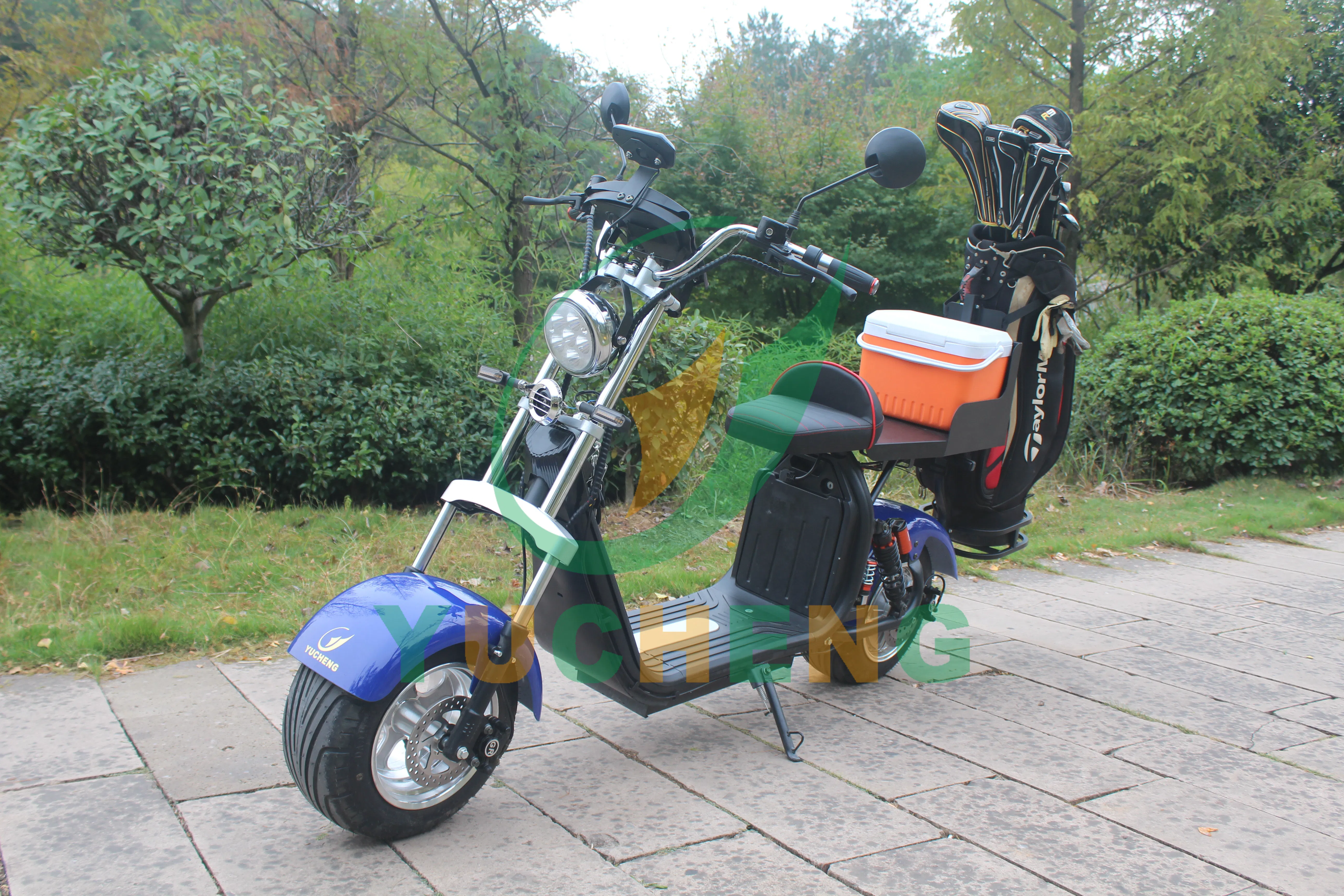 Folding Electric Golf Cart Front Rear Brake