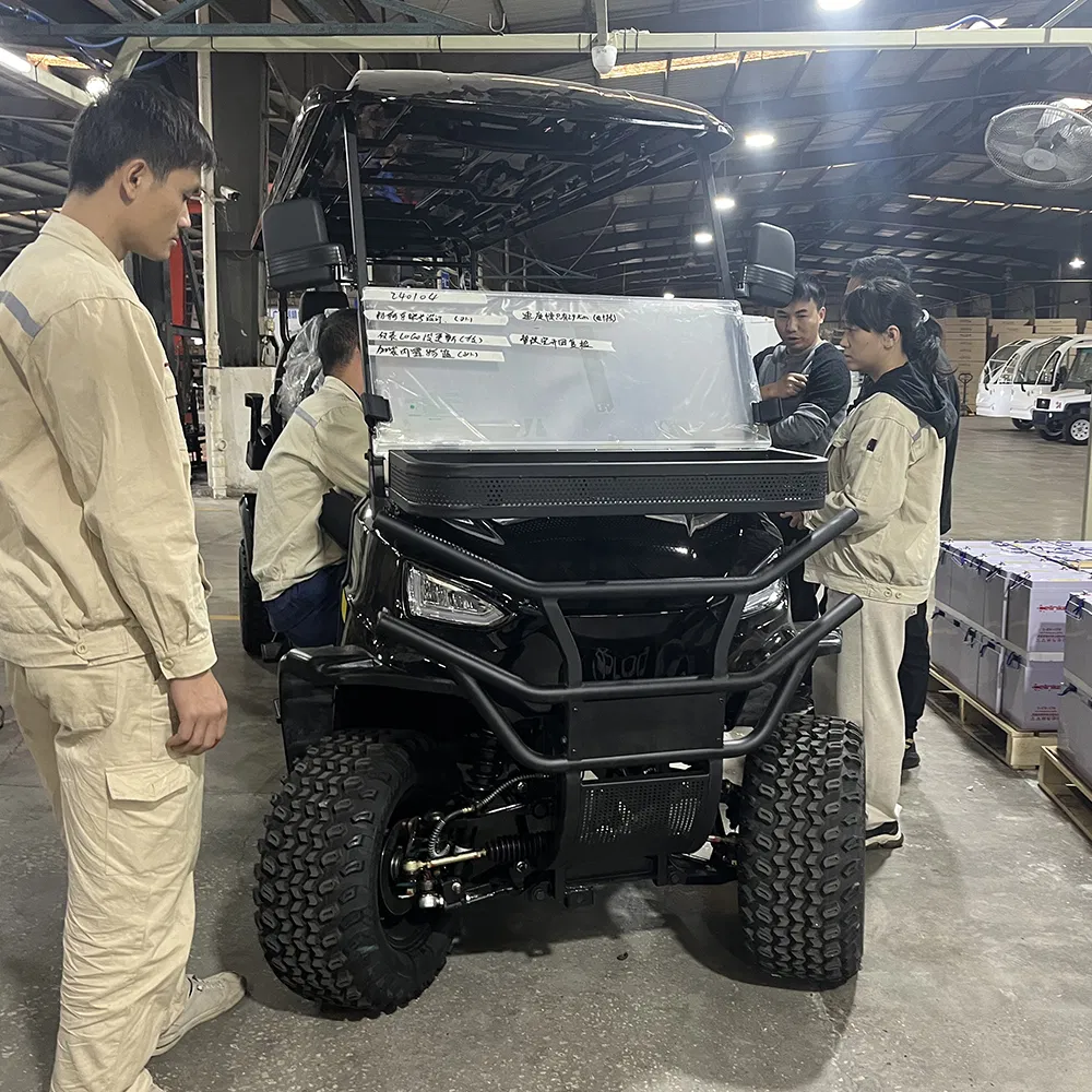 CE Custom Utility Vehicle 8 Seat Golf Cart Golf 8