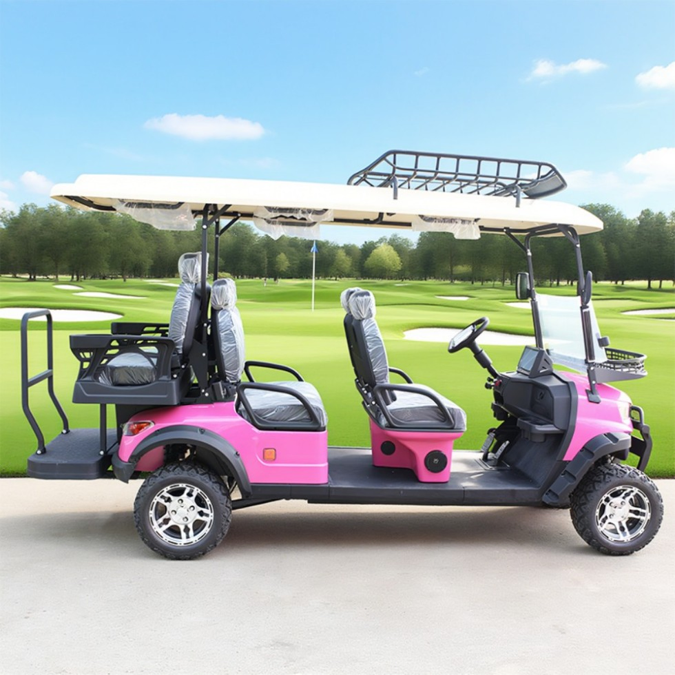 New Concept Model Electric Golf Cart with 6 Seats Forward Lithium Battery (48V) Electric Cart