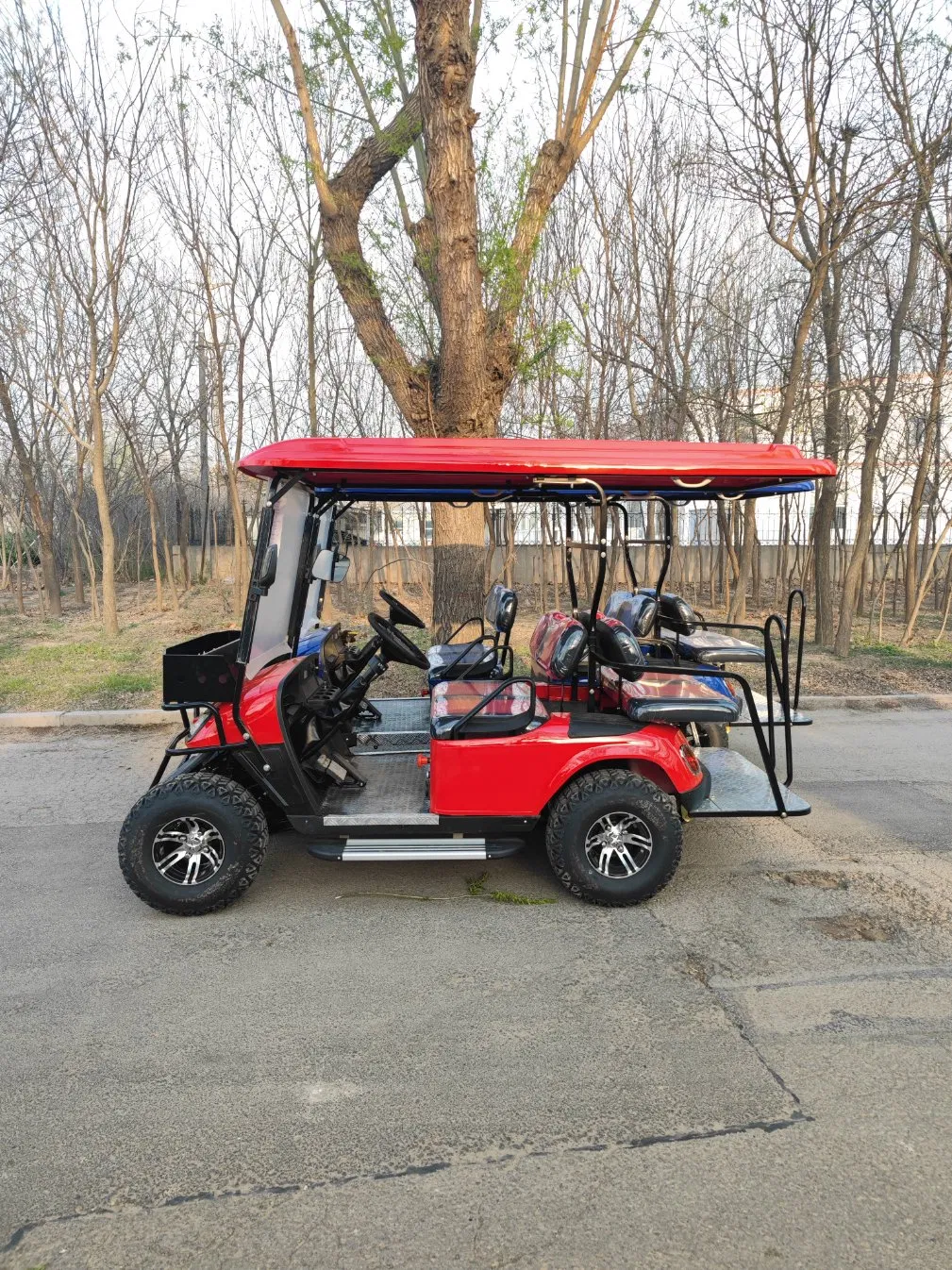 Brand New Gas Type and Electric Golf Carts 2 4 6 8 Seats off-Road Sightseeing Golf Cart