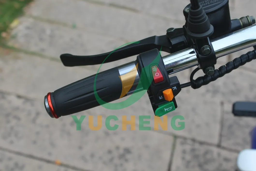 Electric Scooter Front View