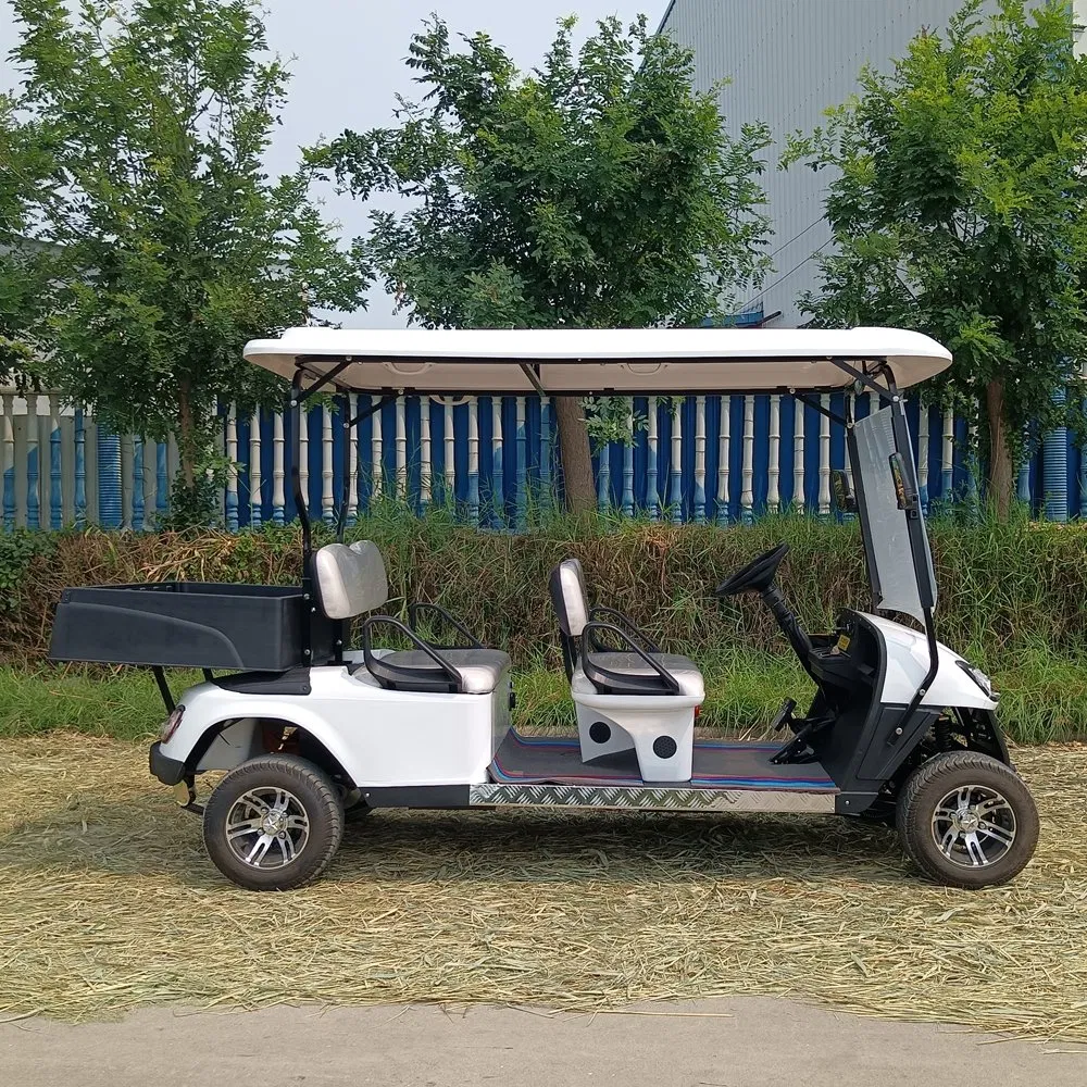 Street Legal 5000W 48V Electric Golf Cart Convertible Sightseeing Golf Car 2 Seater Lithium Battery Golf Carts with Cargo Box