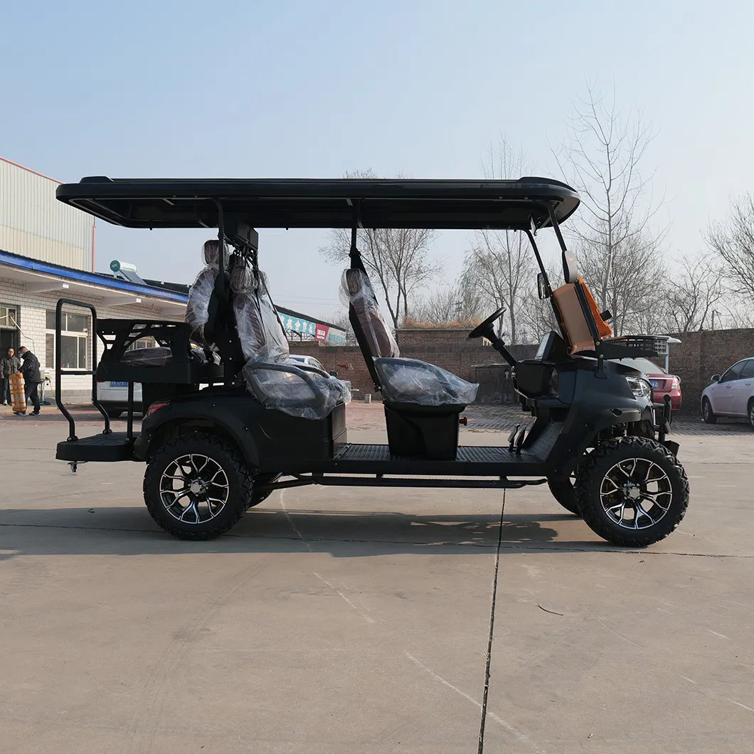 Luxury Electric Golf Cart with Customizable 2 Seat and Professional Use