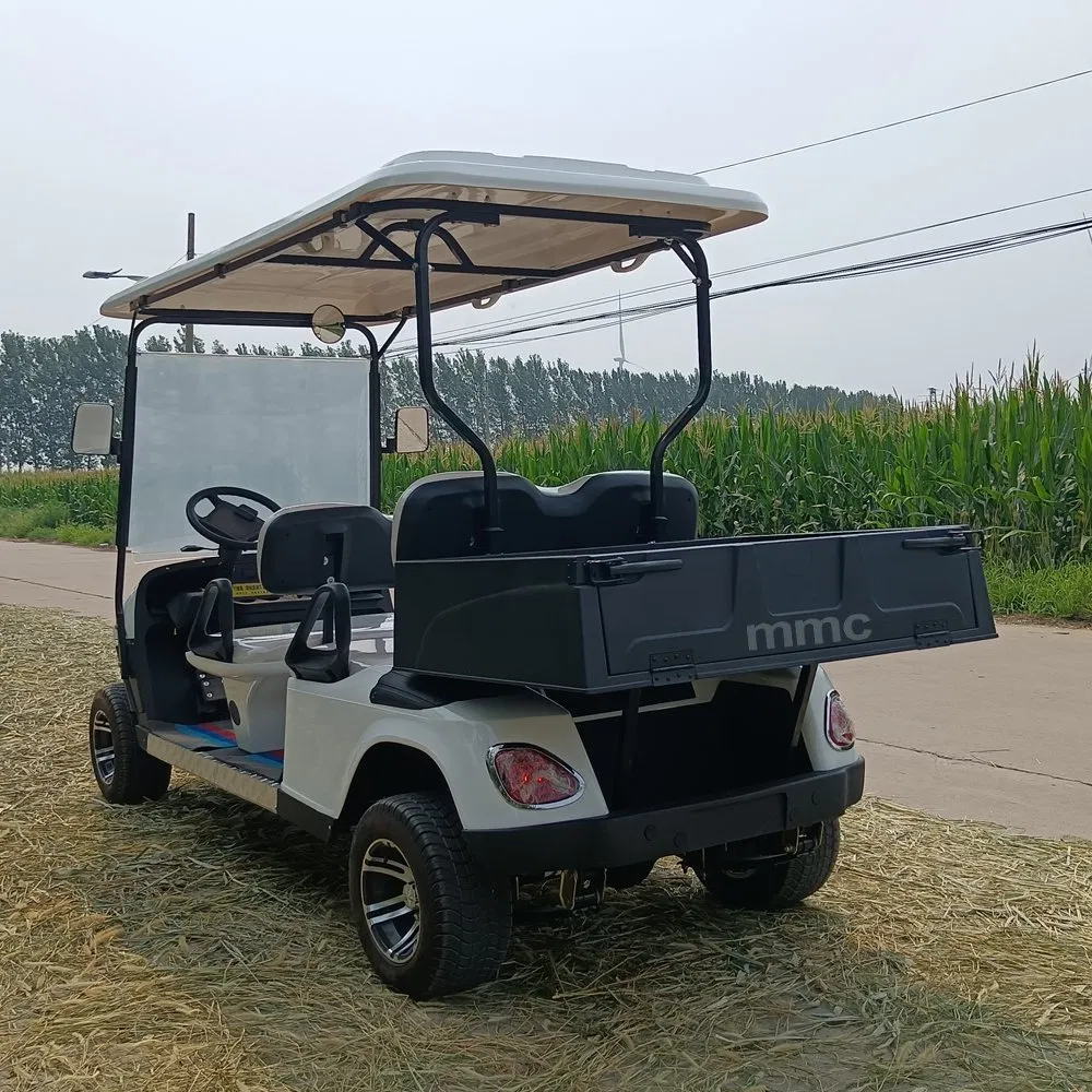 Street Legal 5000W 48V Electric Golf Cart Convertible Sightseeing Golf Car 2 Seater Lithium Battery Golf Carts with Cargo Box