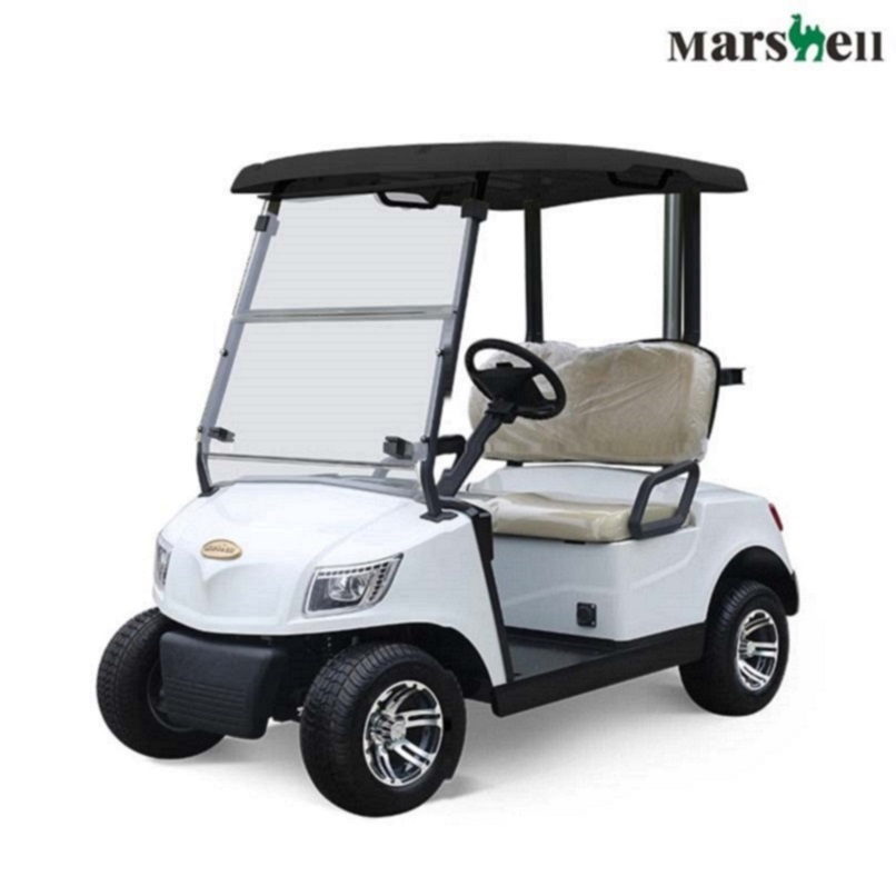 Guangdong Marshell Electric Golf Carts CE Approved Buggy New Model for Sale (DG-M2)