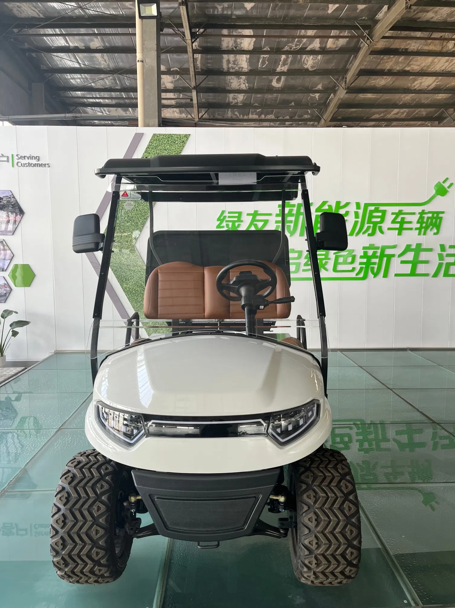 Utility Golf Car, 2 Seats Electric Golf Cart, Aluminum Alloy Cargo Box