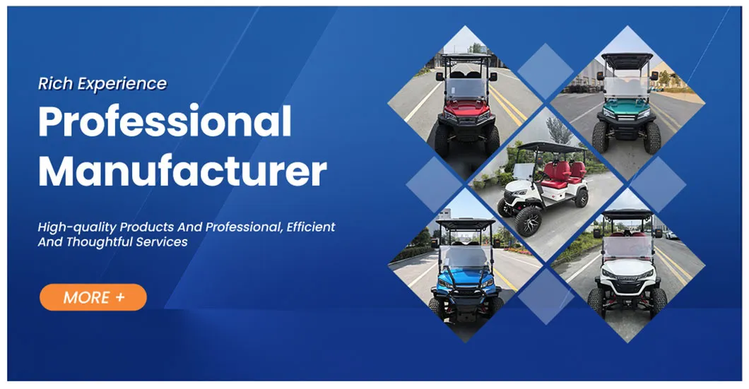 Professional Golf Electric Cart