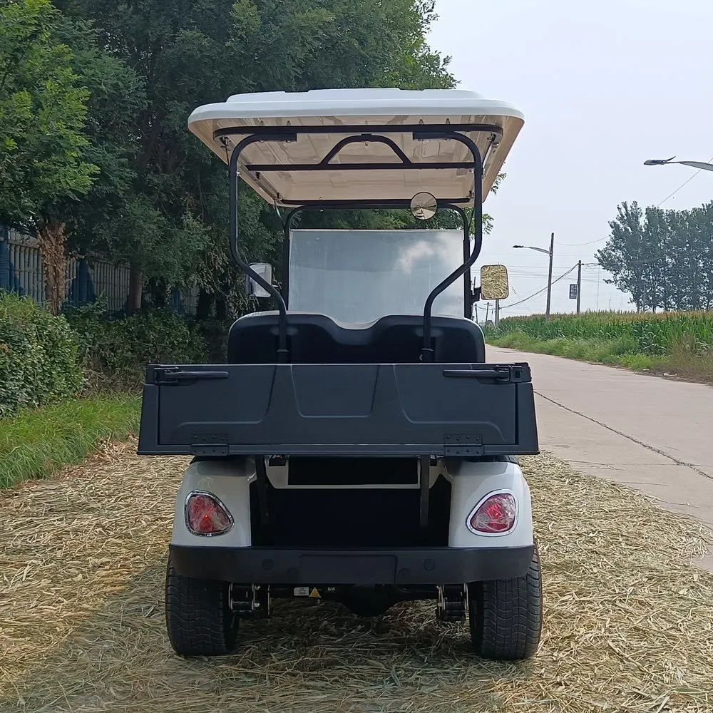 Street Legal 5000W 48V Electric Golf Cart Convertible Sightseeing Golf Car 2 Seater Lithium Battery Golf Carts with Cargo Box