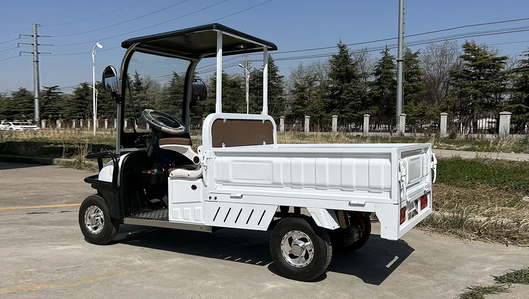 Off Road Electric Cart