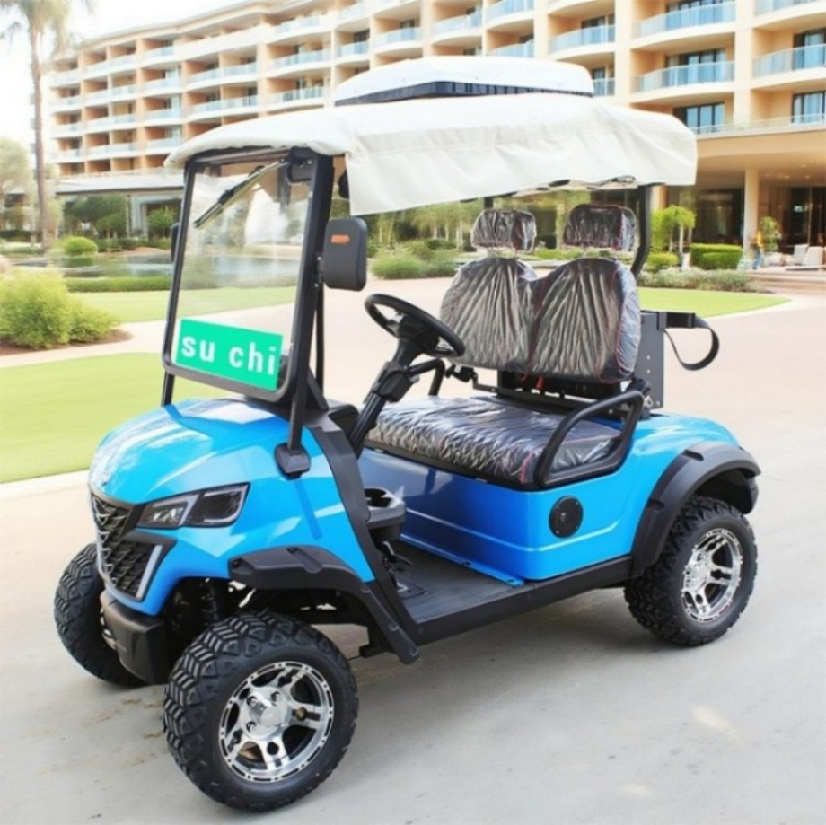 Golf Courses Dedicated 2-Seats Electric Golf Carts with 48V/60V/72V Batteries Providing Customization and OEM Processing Service