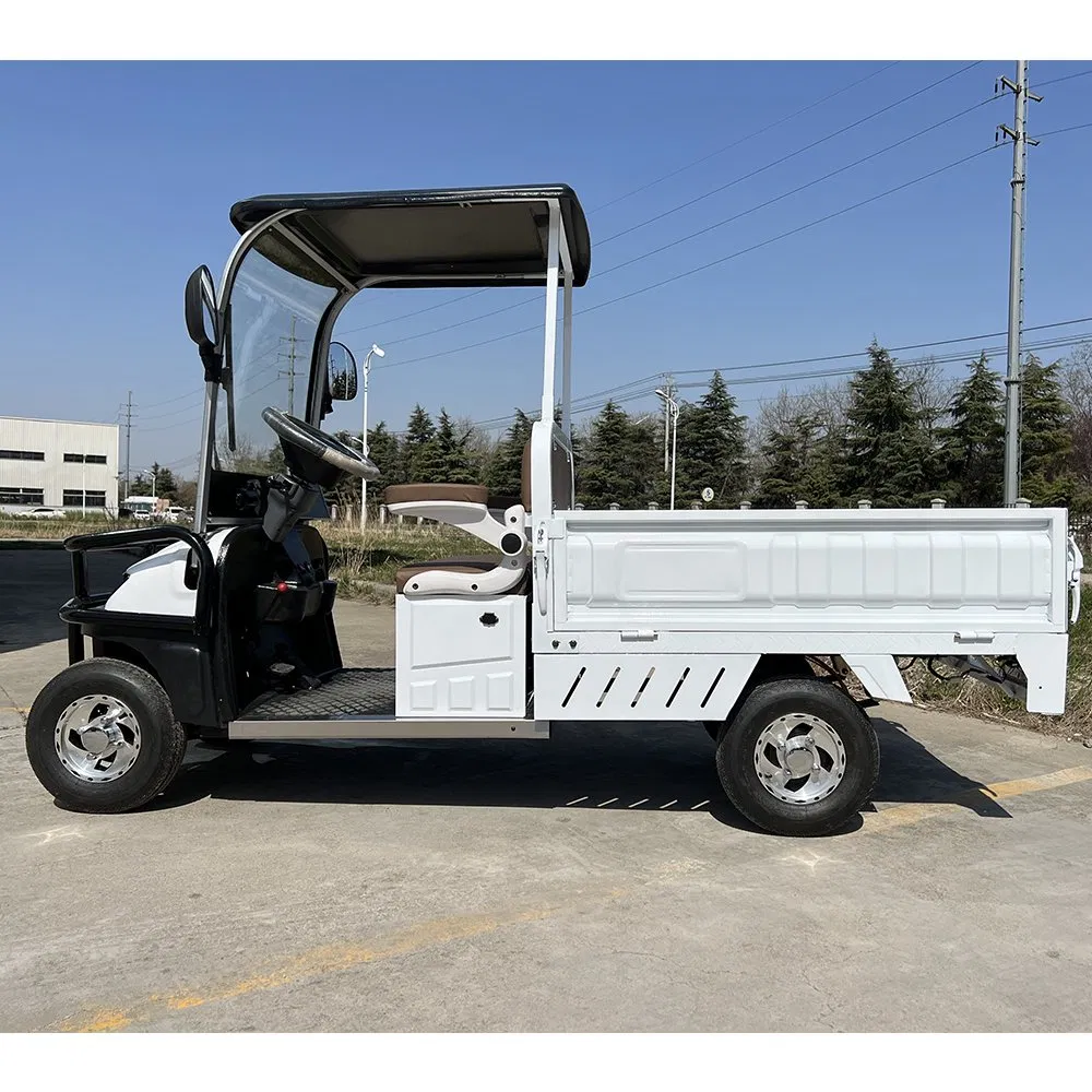 Senka South African Market 4 Wheels 1500W Motor Farm Use off Road Electric Golf Buggies Golf Cart with Cargo Box
