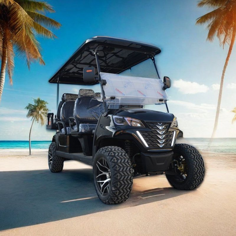 Electric Golf Cart 6 Seater Personal Golf Car China Supplier 48V/72V Lithium Battery CE Club Car Golf Course