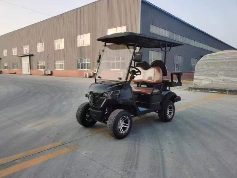 Mini Electric Vehicle Factory Cheap Price 60V 72V5kw AC System Mini Electric Golf Carts Golf Car New Energy Electric Mini Cart