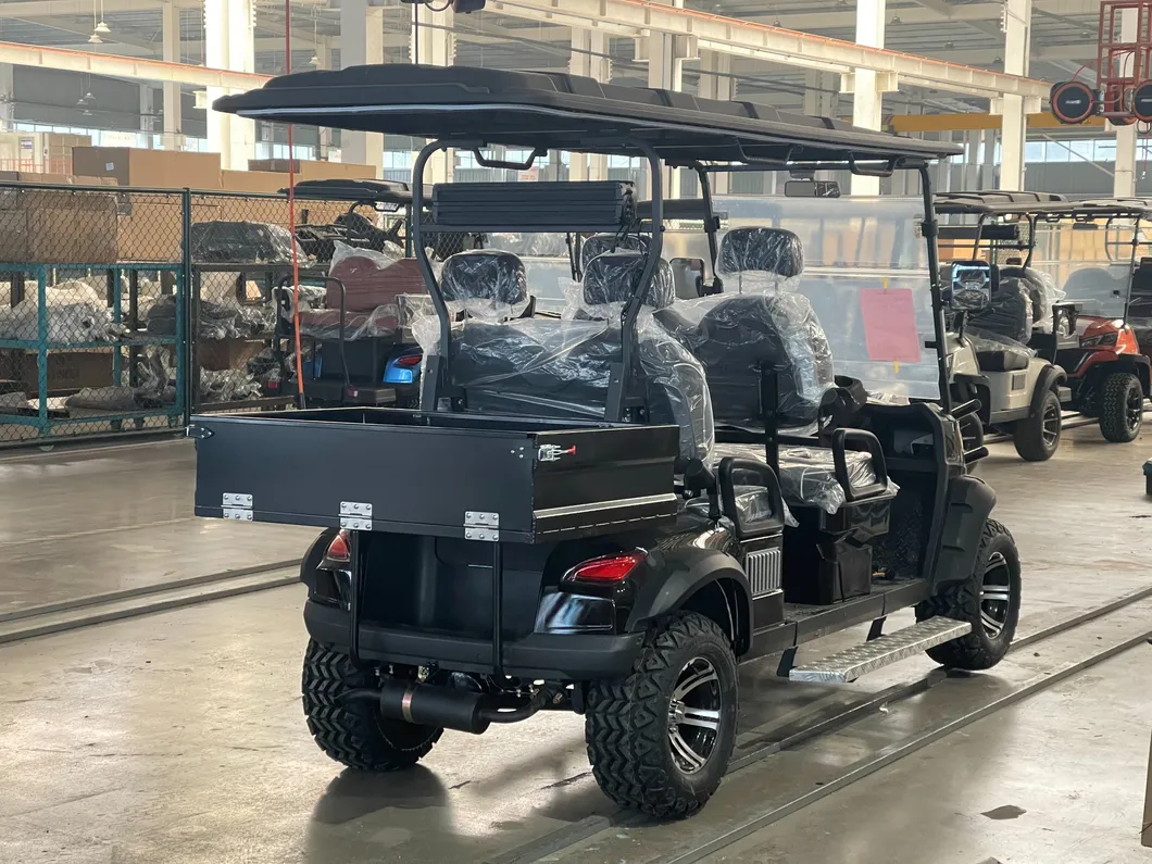 Gas Golf Cart View 4