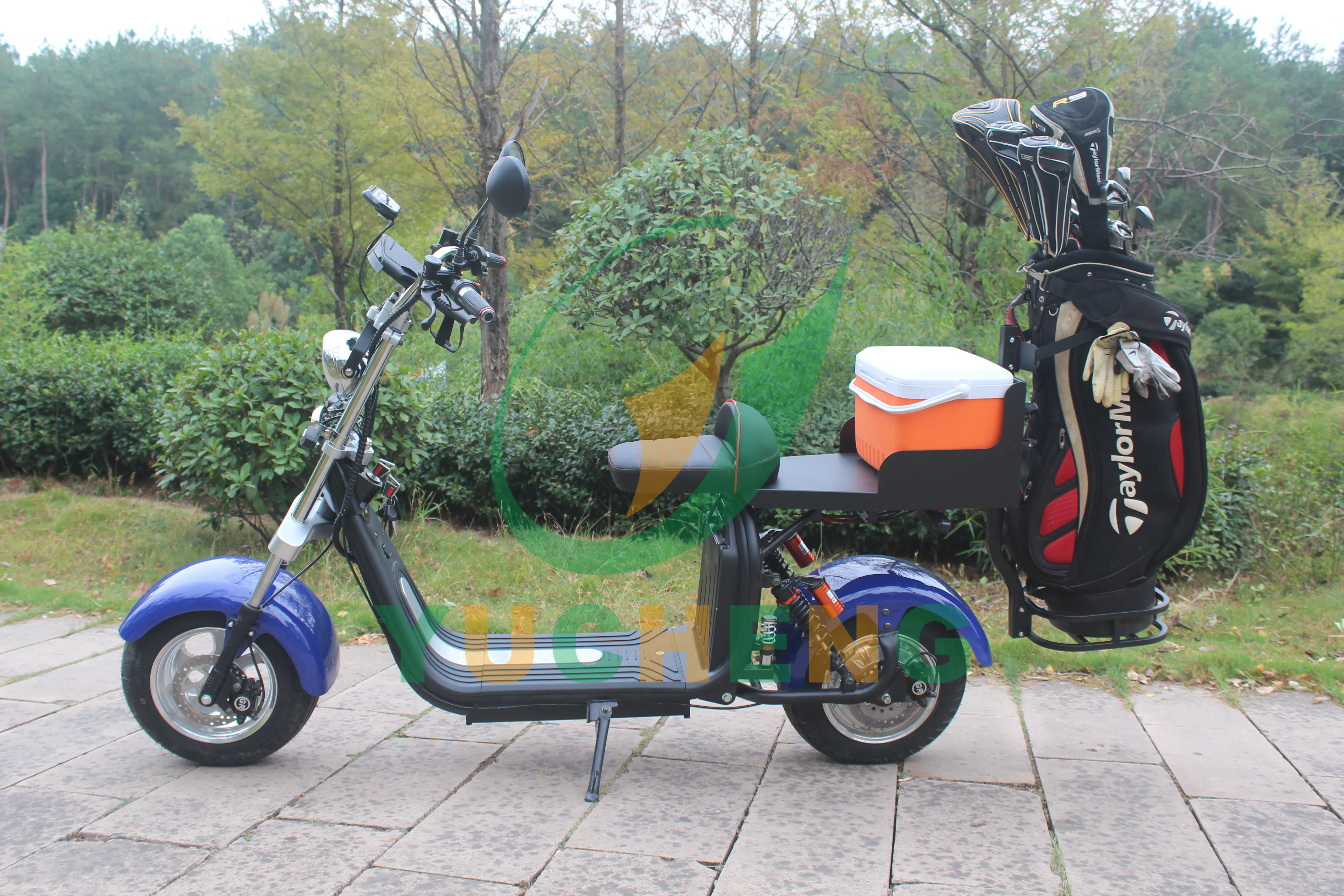 Folding Electric Golf Cart Front Rear Brake