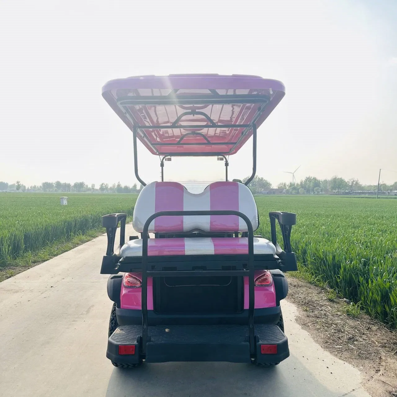 Electric Scooter Gasoline Cart 4 6 Seater Used Icon Gas Powered Golf Carts for Sale