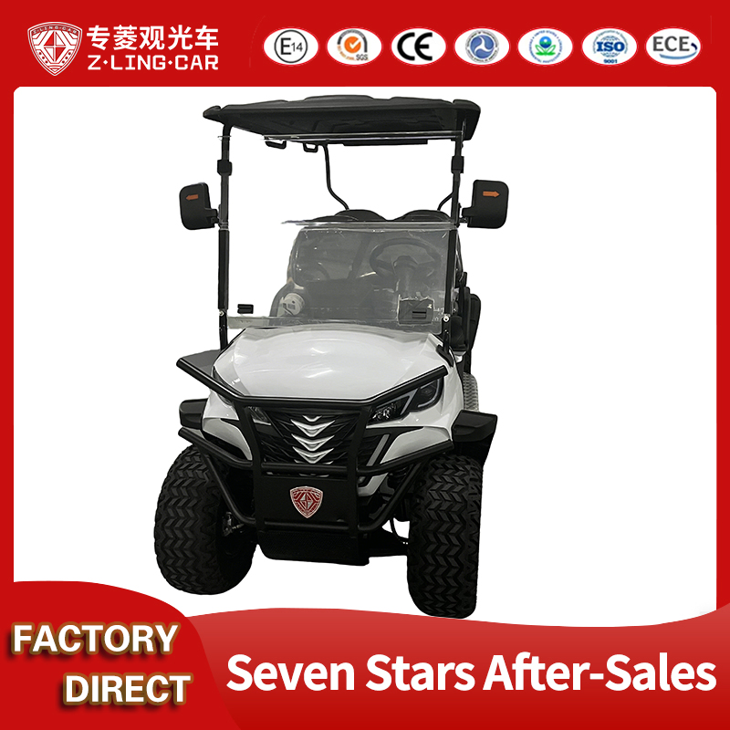 Premium Custom Golf Carts and Parts for Global Distribution