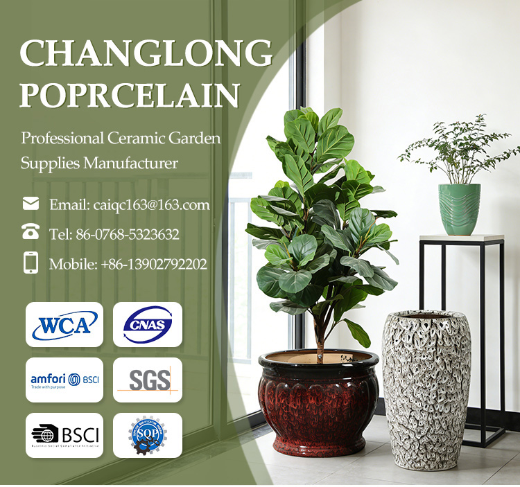 Ceramic Flower Pot Feature