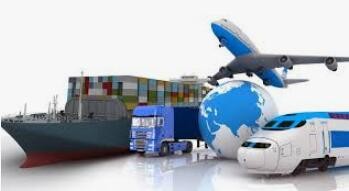 Shipping Options
