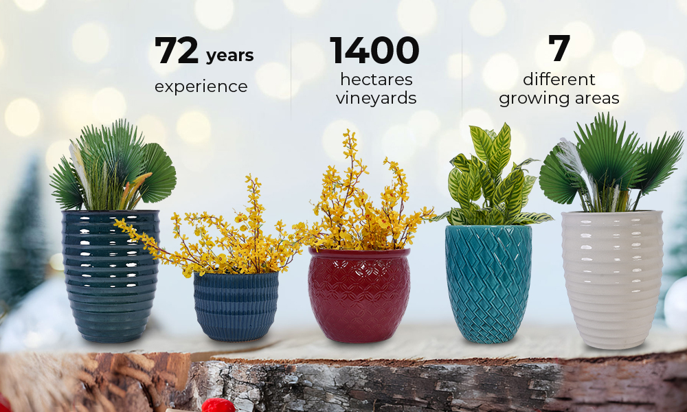 Ceramic Flowerpot Set