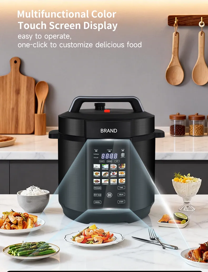 Electric Pressure Cooker Details