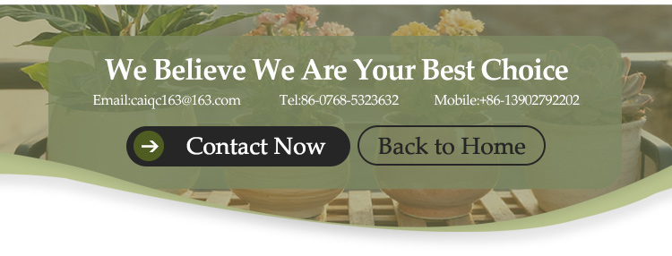Ceramic Flower Pot Banner