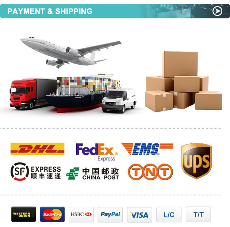 Warehouse and Shipping