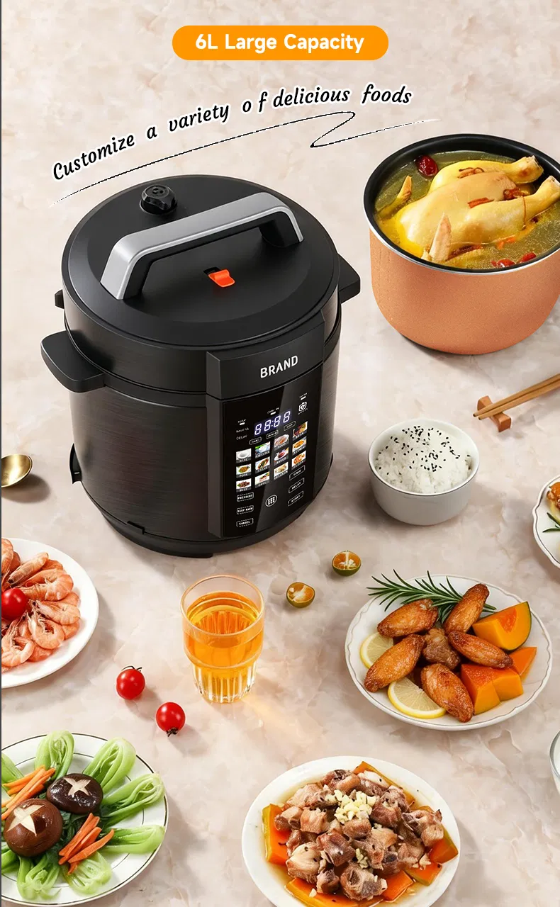 Electric Pressure Cooker Details