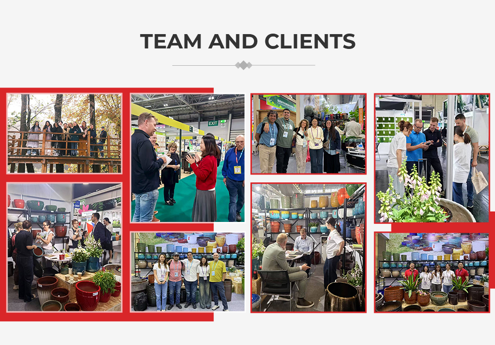 Our Team