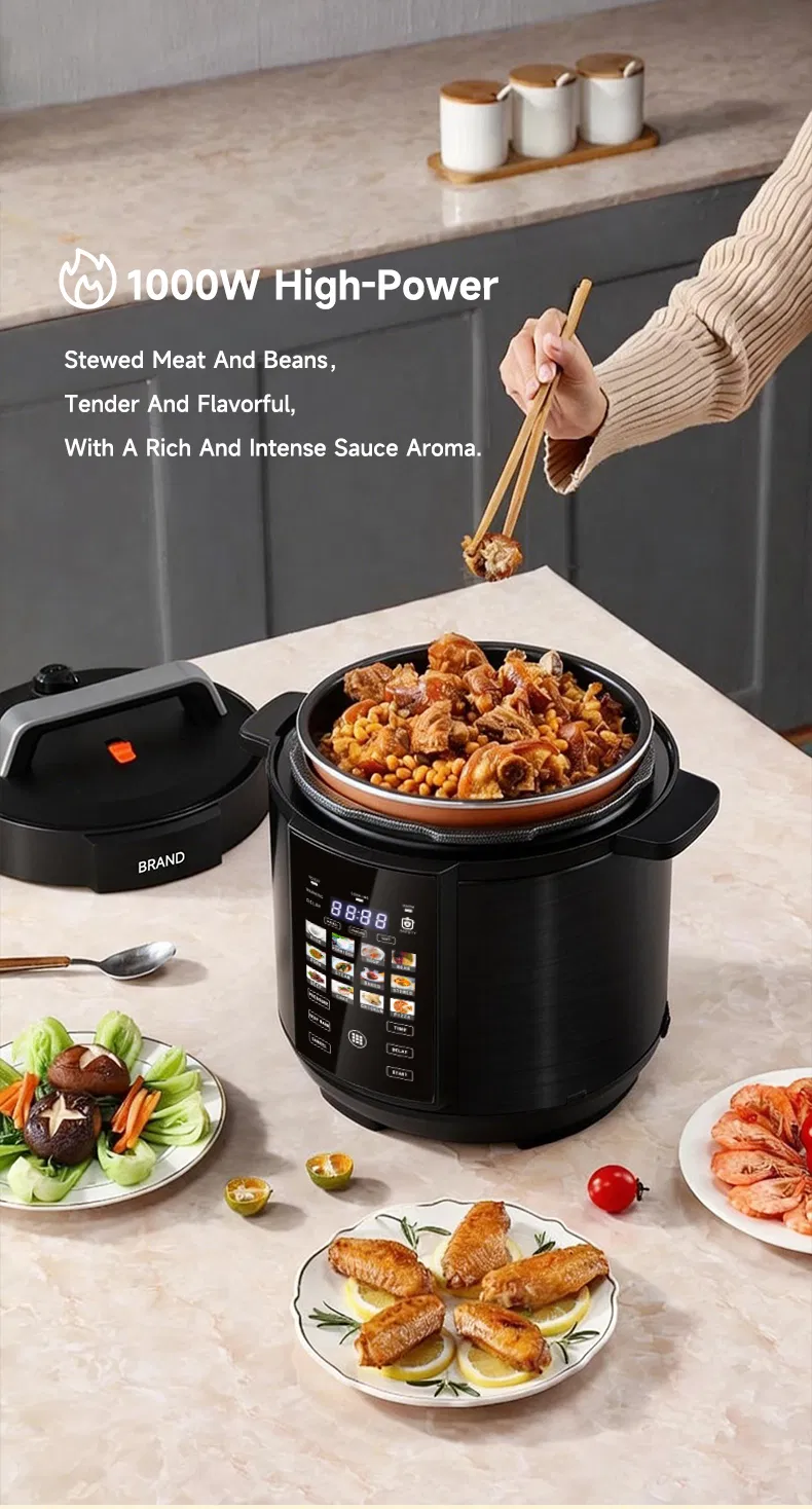 Electric Pressure Cooker Details