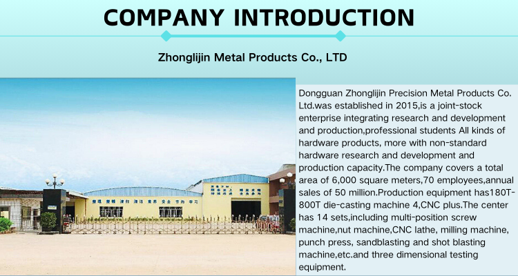 Company Showcase 1