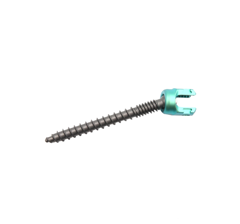 Product View 1