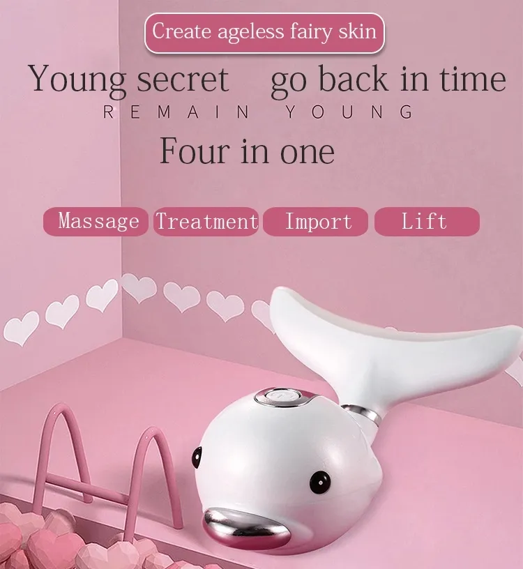 Facial Massager Detail