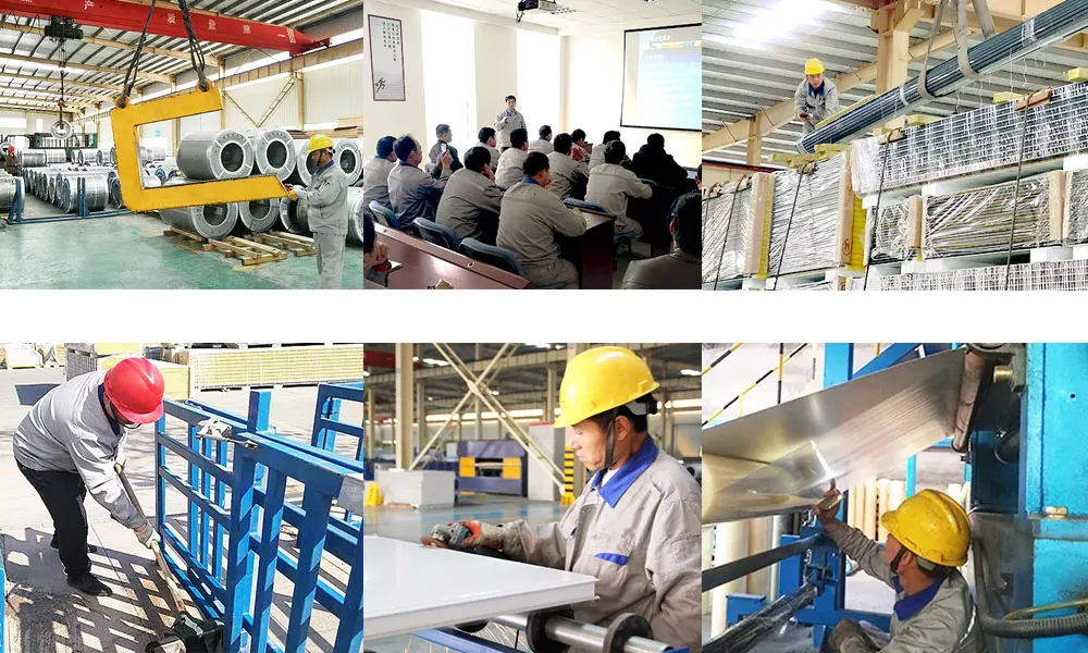 Professional Service