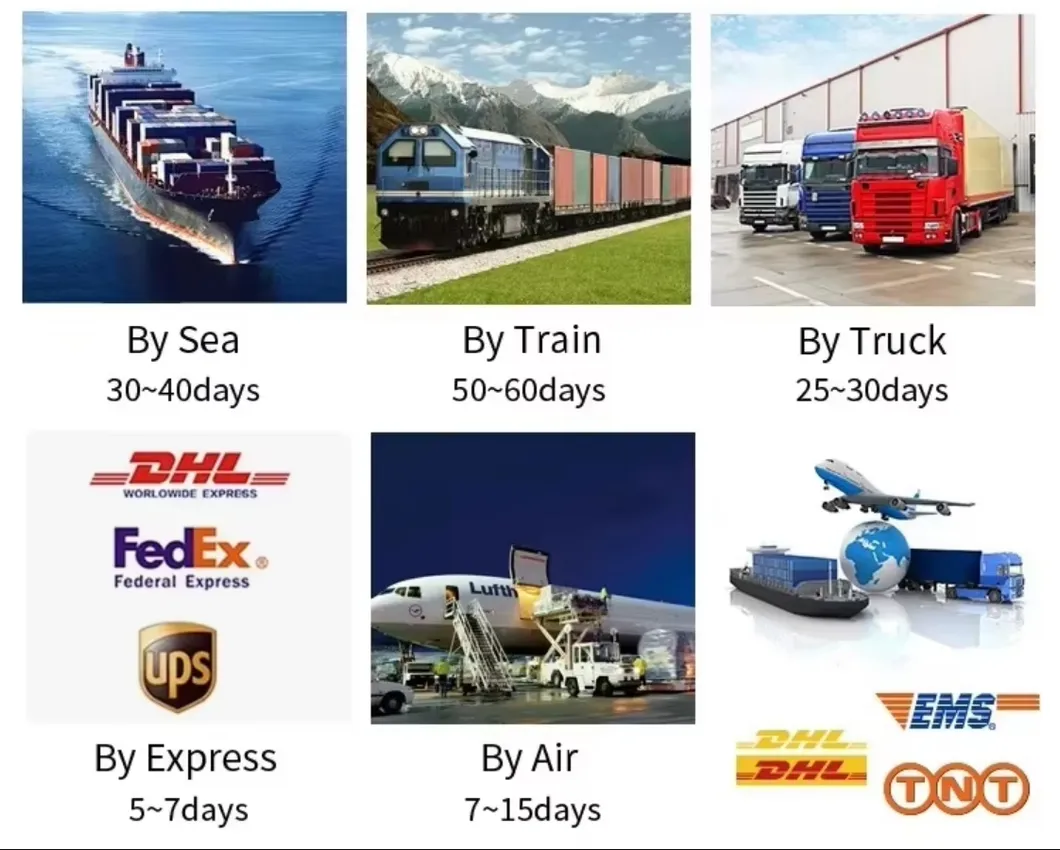 Shipping Logistics