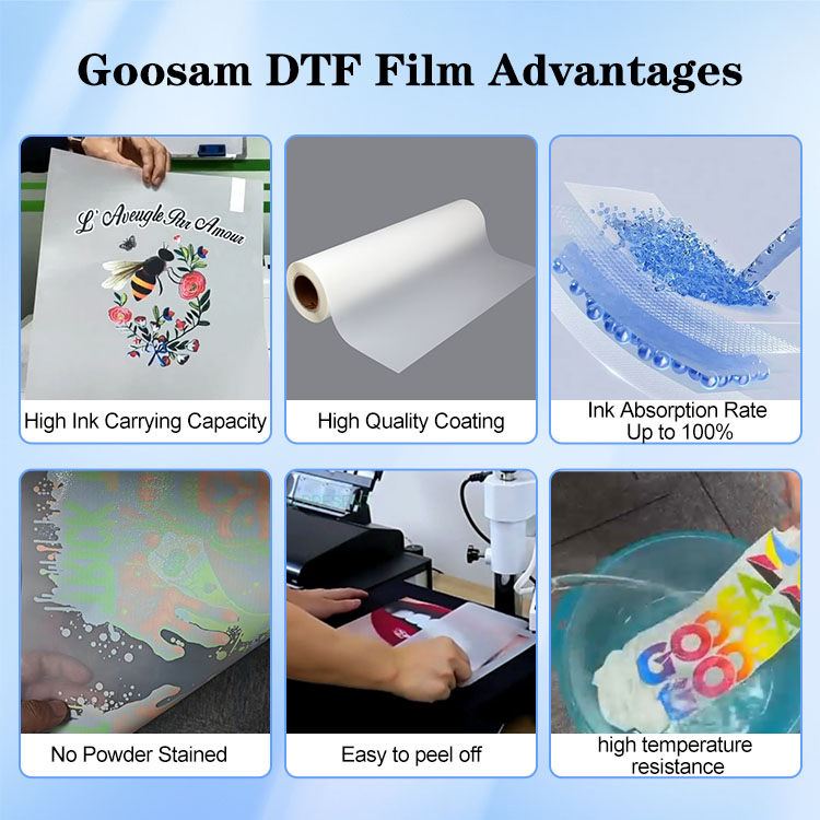 Hot Peel Cold Peel Double Single Side Printing 75 Micron 30 33 60 Cm 60cm 60cm*100m Dtf Pet Film Roll for Heat Transfer Printer