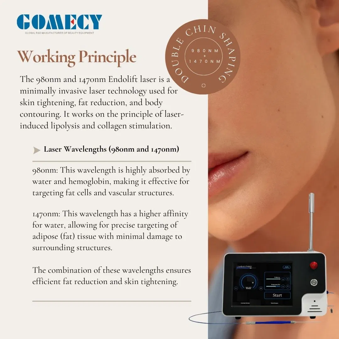 980nm 1470nm Popular Medical Level Laser for Endolift Treatment Lipolysis