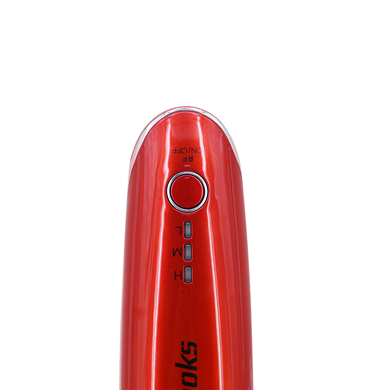 3 in 1 EMS+RF+Microneedle Facial Firming and Anti-Aging Device Anti-Wrinkle Home Beauty Device