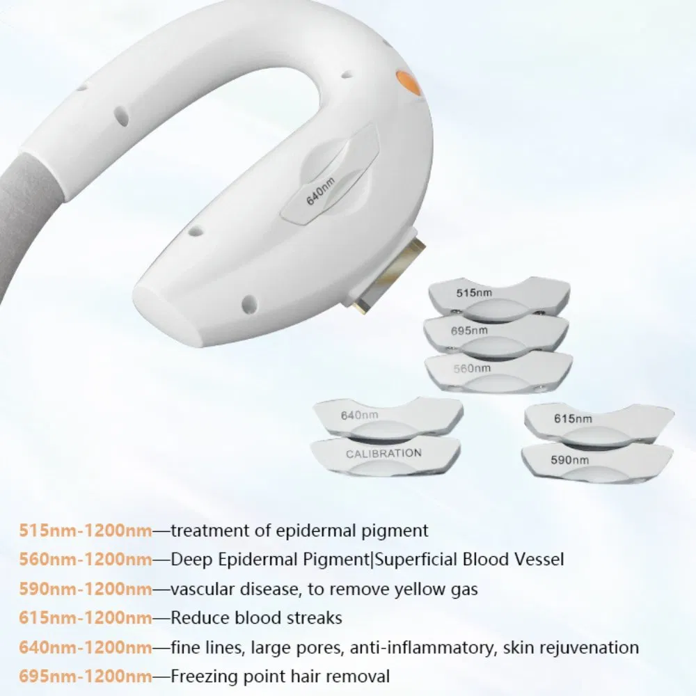 M22 Beauty Machine Pigment Removal Skin Tightening with 2 Handles Other Home Use Beauty Equipment