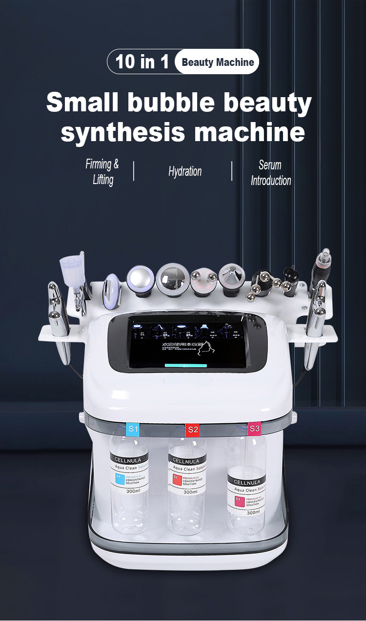 Desktop 10 in 1 Face Care Black Hydra Multi Function Skin Tightening Facial Machine Salon Use Face Cleaning Black Head Removal Hydro Dermabrasion