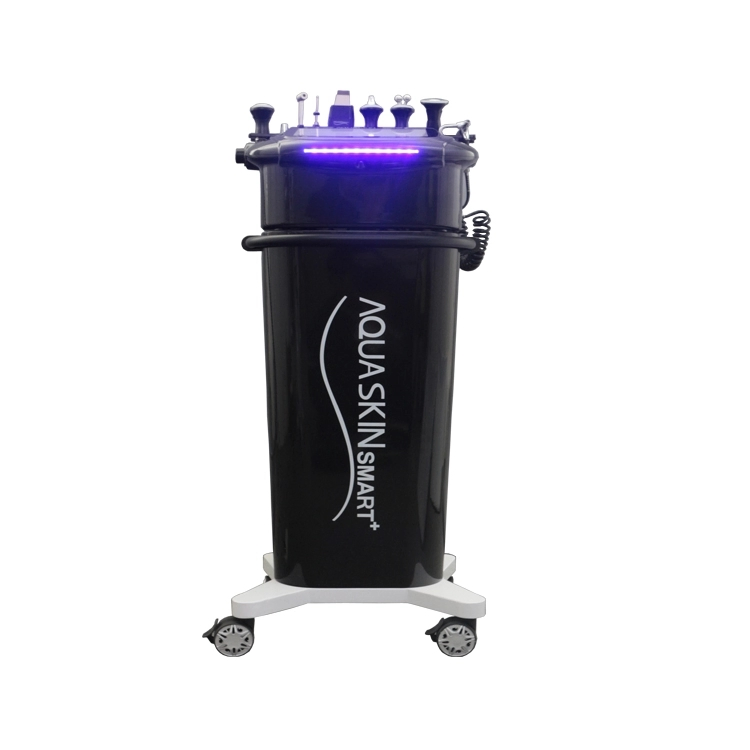 2020 Hot Sale Beauty Salon Machine 9 in 1 Smart Multifunction Facial Beauty Equipment Skin Care Machine